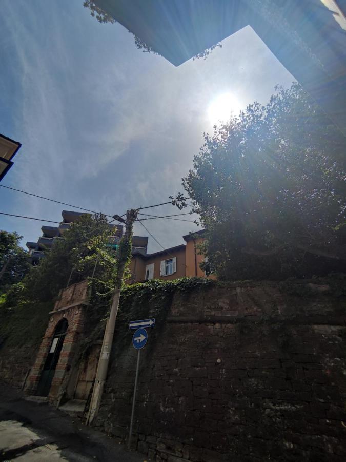 Gioiellino A Trieste Luaran gambar